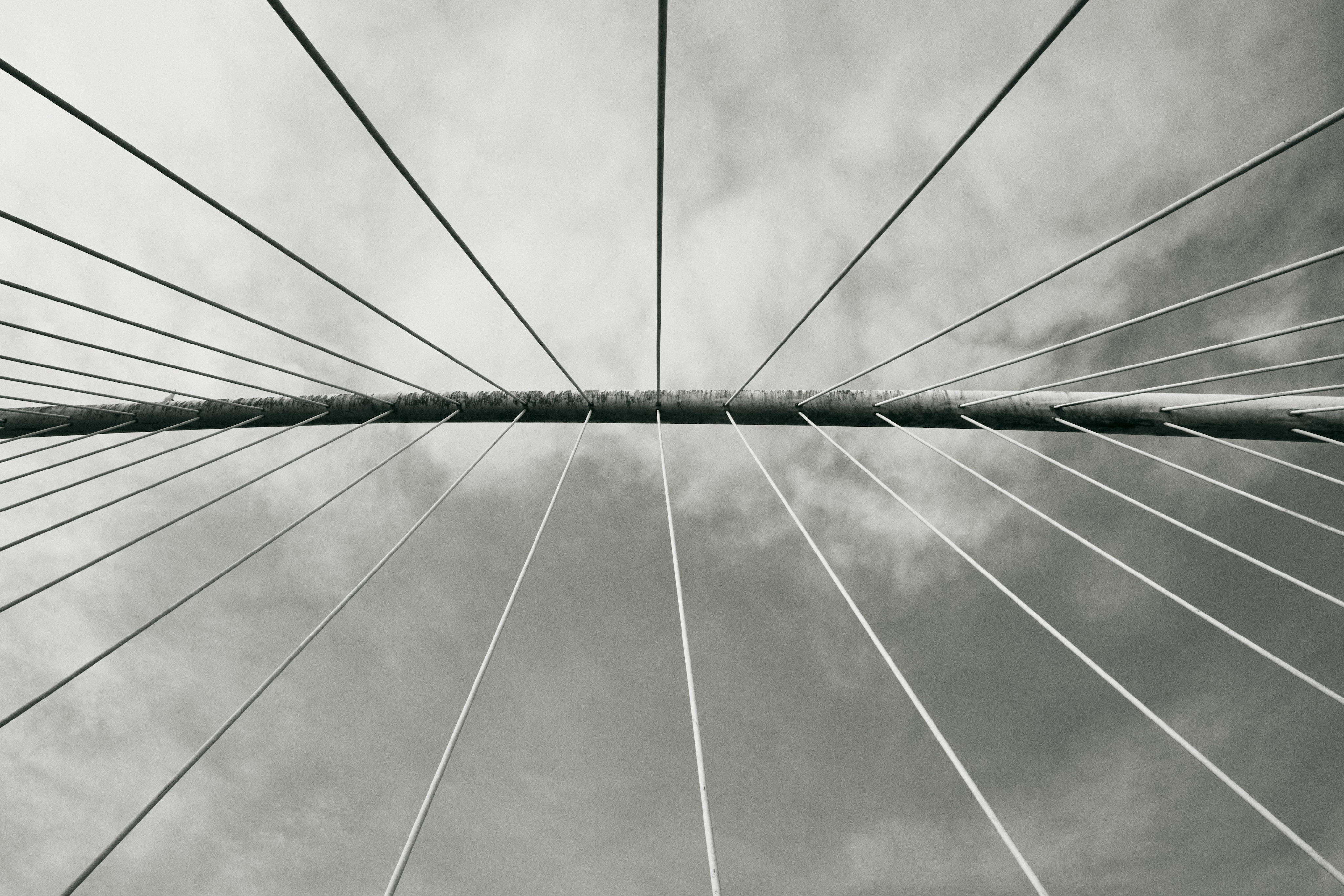 A Tech Lead serves as the bridge between business objectives and technical execution